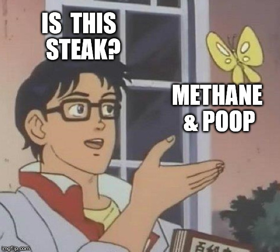 Is This A Pigeon Meme | IS  THIS  STEAK? METHANE & POOP | image tagged in memes,is this a pigeon | made w/ Imgflip meme maker