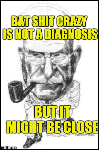 Still In Therapy | BAT SHIT CRAZY IS NOT A DIAGNOSIS; BUT IT MIGHT BE CLOSE | image tagged in in therapy,psycho,psy week,crazy liberals,sickness,obsessed | made w/ Imgflip meme maker