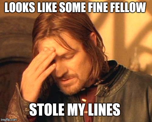 Frustrated Boromir | LOOKS LIKE SOME FINE FELLOW STOLE MY LINES | image tagged in frustrated boromir | made w/ Imgflip meme maker