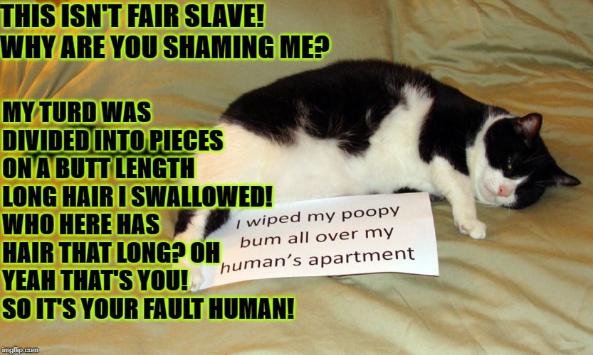 MY TURD WAS DIVIDED INTO PIECES ON A BUTT LENGTH LONG HAIR I SWALLOWED! WHO HERE HAS HAIR THAT LONG? OH YEAH THAT'S YOU! SO IT'S YOUR FAULT HUMAN! THIS ISN'T FAIR SLAVE! WHY ARE YOU SHAMING ME? | image tagged in poopy bum | made w/ Imgflip meme maker