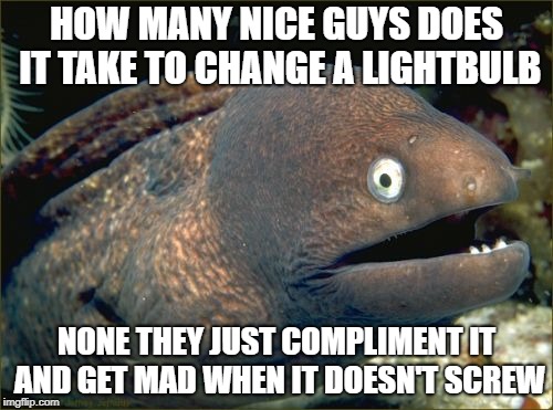 Bad Joke Eel | HOW MANY NICE GUYS DOES IT TAKE TO CHANGE A LIGHTBULB; NONE THEY JUST COMPLIMENT IT AND GET MAD WHEN IT DOESN'T SCREW | image tagged in memes,bad joke eel | made w/ Imgflip meme maker