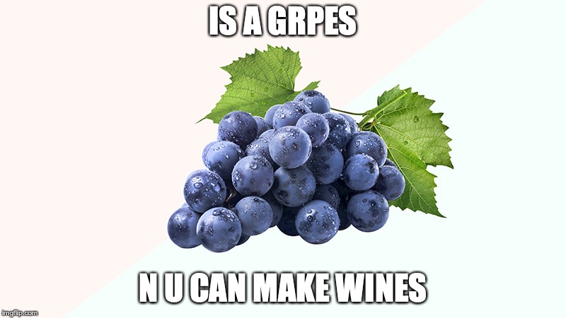the WIneygrap | IS A GRPES; N U CAN MAKE WINES | image tagged in grapes,wine | made w/ Imgflip meme maker