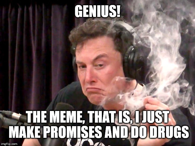 Elon Musk Weed | GENIUS! THE MEME, THAT IS, I JUST MAKE PROMISES AND DO DRUGS | image tagged in elon musk weed | made w/ Imgflip meme maker