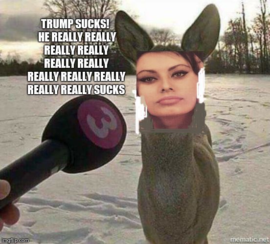 Deer interviewed | TRUMP SUCKS!  HE REALLY REALLY REALLY REALLY REALLY REALLY REALLY REALLY REALLY REALLY REALLY SUCKS | image tagged in deer interviewed | made w/ Imgflip meme maker