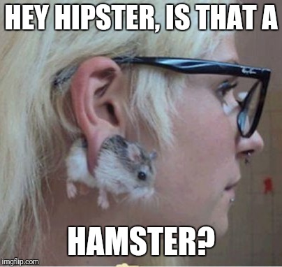 HEY HIPSTER, IS THAT A; HAMSTER? | made w/ Imgflip meme maker