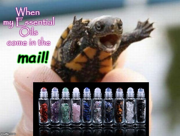 happy baby turtle | When my Essential Oils come in the; mail! | image tagged in happy baby turtle | made w/ Imgflip meme maker