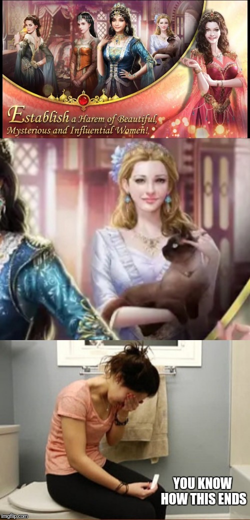 Very realistic harem! | YOU KNOW HOW THIS ENDS | image tagged in cat lady,pregnancy test,harem,video games | made w/ Imgflip meme maker
