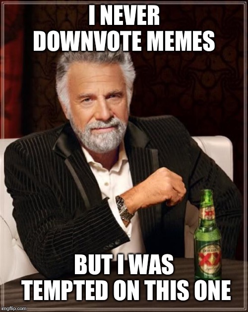 The Most Interesting Man In The World Meme | I NEVER DOWNVOTE MEMES BUT I WAS TEMPTED ON THIS ONE | image tagged in memes,the most interesting man in the world | made w/ Imgflip meme maker