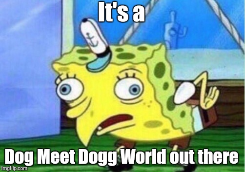 Mocking Spongebob Meme | It's a Dog Meet Dogg World out there | image tagged in memes,mocking spongebob | made w/ Imgflip meme maker