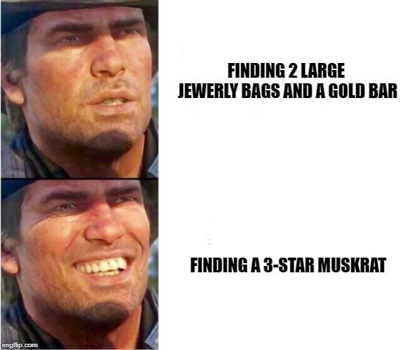 That's How Red Dead Works. | FINDING 2 LARGE JEWERLY BAGS AND A GOLD BAR; FINDING A 3-STAR MUSKRAT | image tagged in arthur morgan,rdr2,hunting | made w/ Imgflip meme maker