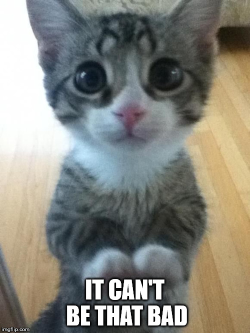 It will get better | IT CAN'T BE THAT BAD | image tagged in cute cat | made w/ Imgflip meme maker