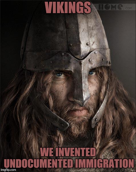 viking | VIKINGS WE INVENTED UNDOCUMENTED IMMIGRATION | image tagged in viking | made w/ Imgflip meme maker