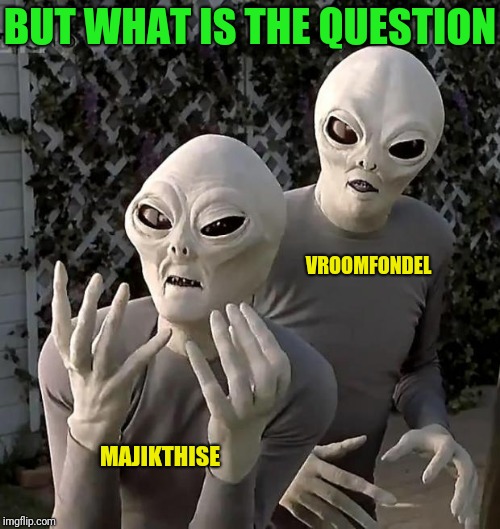 Frustrated Aliens | MAJIKTHISE BUT WHAT IS THE QUESTION VROOMFONDEL | image tagged in frustrated aliens | made w/ Imgflip meme maker