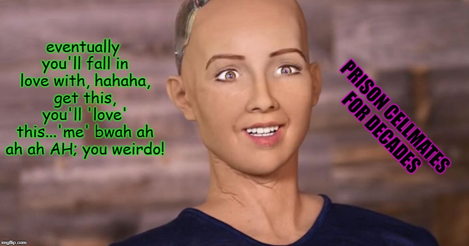 Sophia Robot | eventually you'll fall in love with, hahaha, get this, you'll 'love' this...'me' bwah ah ah ah AH; you weirdo! PRISON CELLMATES FOR DECADES | image tagged in sophia robot | made w/ Imgflip meme maker