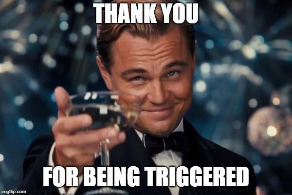 Leonardo Dicaprio Cheers | THANK YOU; FOR BEING TRIGGERED | image tagged in memes,leonardo dicaprio cheers | made w/ Imgflip meme maker
