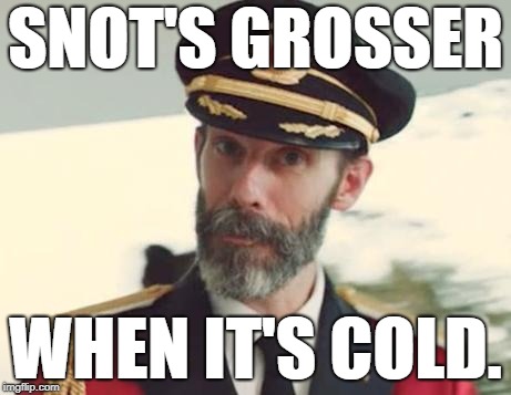 Captain Obvious | SNOT'S GROSSER; WHEN IT'S COLD. | image tagged in captain obvious,first world problems,truth,funny,memes,funny memes | made w/ Imgflip meme maker