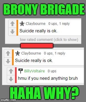 BRONY BRIGADE; I; HAHA WHY? | image tagged in beyondthecomments | made w/ Imgflip meme maker