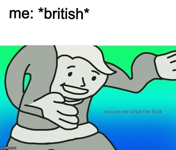 Excuse me, what the fuck | me: *british* | image tagged in excuse me what the fuck | made w/ Imgflip meme maker