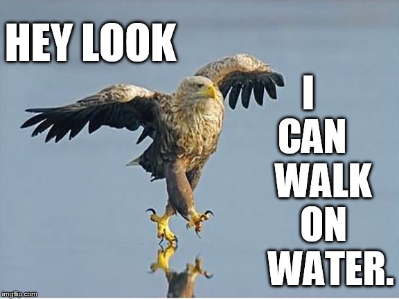Bird Weekend February 1-3, a moemeobro, Claybourne, and 1forpeace Event/ Sometimes They Really Do Like To Show Off | I   CAN    WALK   ON     WATER. HEY LOOK | image tagged in memes,bird weekend,bird,walking,water,show off | made w/ Imgflip meme maker
