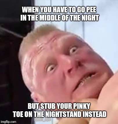 Owweeee!!  | WHEN YOU HAVE TO GO PEE IN THE MIDDLE OF THE NIGHT; BUT STUB YOUR PINKY TOE ON THE NIGHTSTAND INSTEAD; ryder_dye | image tagged in brock lesnar,toe,pee | made w/ Imgflip meme maker