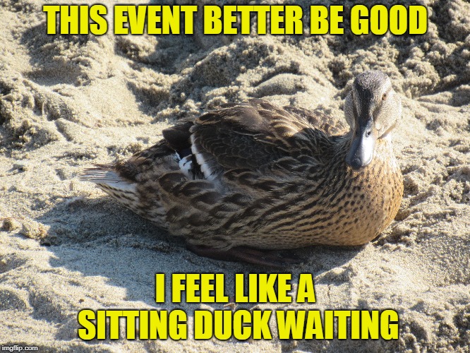 Bird Weekend February 1-3, a moemeobro, Claybourne, and 1for peace Event | THIS EVENT BETTER BE GOOD; I FEEL LIKE A SITTING DUCK WAITING | image tagged in duck,bird weekend | made w/ Imgflip meme maker