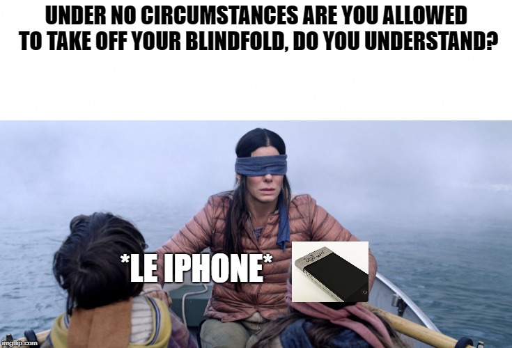 Bird Box | UNDER NO CIRCUMSTANCES ARE YOU ALLOWED TO TAKE OFF YOUR BLINDFOLD, DO YOU UNDERSTAND? *LE IPHONE* | image tagged in bird box | made w/ Imgflip meme maker