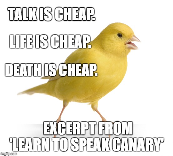 Canary | TALK IS CHEAP. LIFE IS CHEAP. DEATH IS CHEAP. EXCERPT FROM 'LEARN TO SPEAK CANARY' | image tagged in canary | made w/ Imgflip meme maker