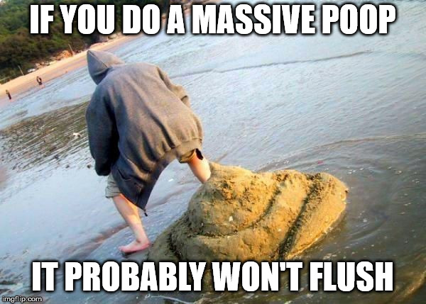 IF YOU DO A MASSIVE POOP IT PROBABLY WON'T FLUSH | made w/ Imgflip meme maker