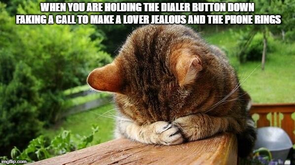 Embarrassed Cat | WHEN YOU ARE HOLDING THE DIALER BUTTON DOWN FAKING A CALL TO MAKE A LOVER JEALOUS AND THE PHONE RINGS | image tagged in embarrassed cat | made w/ Imgflip meme maker