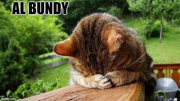 Embarrassed Cat | AL BUNDY | image tagged in embarrassed cat | made w/ Imgflip meme maker
