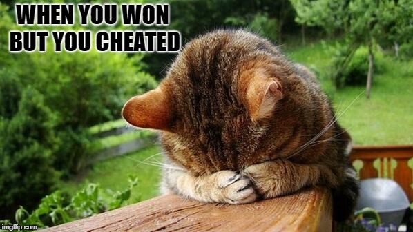 Embarrassed Cat | WHEN YOU WON BUT YOU CHEATED | image tagged in embarrassed cat | made w/ Imgflip meme maker