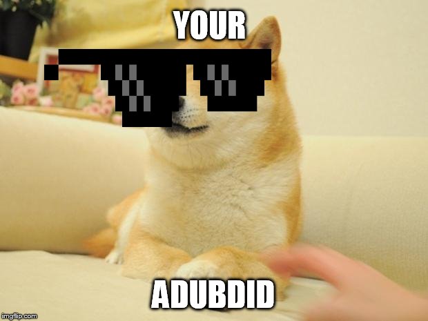 Doge 2 | YOUR; ADUBDID | image tagged in memes,doge 2 | made w/ Imgflip meme maker
