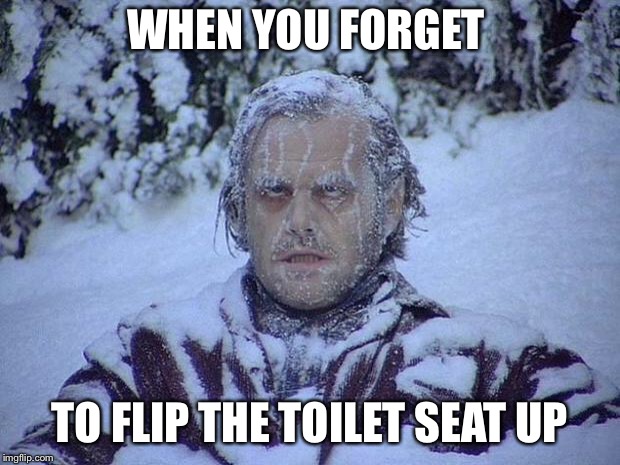 Jack Nicholson The Shining Snow Meme | WHEN YOU FORGET; TO FLIP THE TOILET SEAT UP | image tagged in memes,jack nicholson the shining snow | made w/ Imgflip meme maker