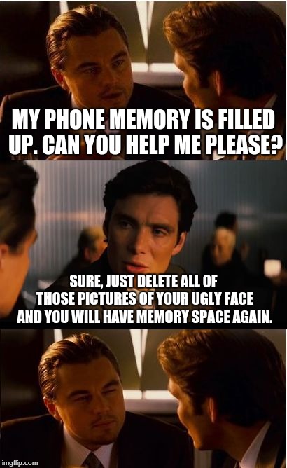 Inception Meme | MY PHONE MEMORY IS FILLED UP. CAN YOU HELP ME PLEASE? SURE, JUST DELETE ALL OF THOSE PICTURES OF YOUR UGLY FACE AND YOU WILL HAVE MEMORY SPACE AGAIN. | image tagged in memes,inception | made w/ Imgflip meme maker