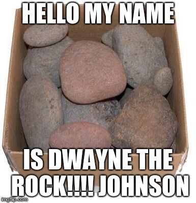 Box of Rocks | HELLO MY NAME; IS DWAYNE THE ROCK!!!! JOHNSON | image tagged in box of rocks | made w/ Imgflip meme maker
