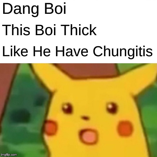 Surprised Pikachu Meme | Dang Boi; This Boi Thick; Like He Have Chungitis | image tagged in memes,surprised pikachu | made w/ Imgflip meme maker