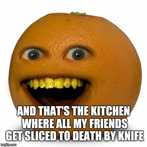 Annoying Orange | AND THAT'S THE KITCHEN WHERE ALL MY FRIENDS GET SLICED TO DEATH BY KNIFE | image tagged in annoying orange | made w/ Imgflip meme maker