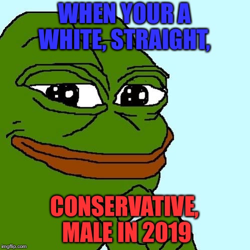 Let me show you my privilege  | WHEN YOUR A WHITE, STRAIGHT, CONSERVATIVE, MALE IN 2019 | image tagged in smug pepe,funny,memes,its a joke calm your titties | made w/ Imgflip meme maker