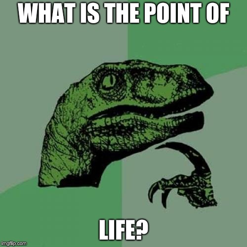 Philosoraptor Meme | WHAT IS THE POINT OF; LIFE? | image tagged in memes,philosoraptor | made w/ Imgflip meme maker