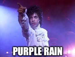 Prince | PURPLE RAIN | image tagged in prince | made w/ Imgflip meme maker