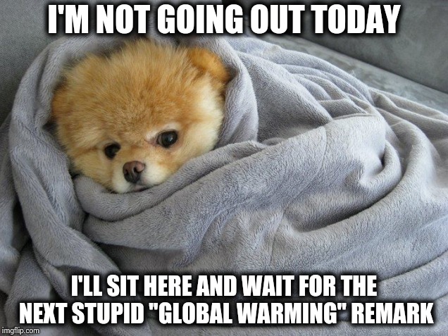 Wind chill in New York today is - OMG ! |  I'M NOT GOING OUT TODAY; I'LL SIT HERE AND WAIT FOR THE NEXT STUPID "GLOBAL WARMING" REMARK | image tagged in bundled up doggo,freezing cold,one does not simply,cash me outside,climate change | made w/ Imgflip meme maker