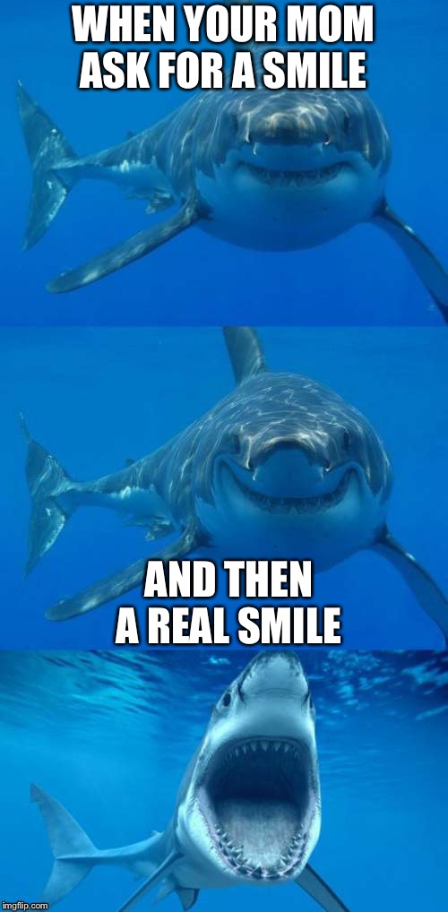 Bad Shark Pun  | WHEN YOUR MOM ASK FOR A SMILE; AND THEN A REAL SMILE | image tagged in bad shark pun | made w/ Imgflip meme maker