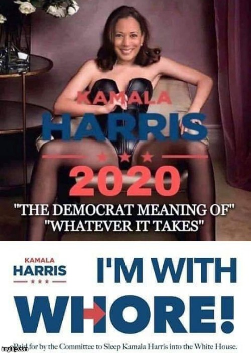 image tagged in kamala harris | made w/ Imgflip meme maker