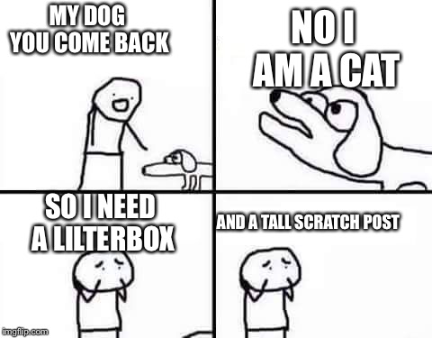 retarded dog | NO I AM A CAT; MY DOG YOU COME BACK; SO I NEED A LILTERBOX; AND A TALL SCRATCH POST | image tagged in retarded dog | made w/ Imgflip meme maker