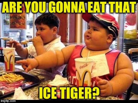 are you gonna eat that | ARE YOU GONNA EAT THAT ICE TIGER? | image tagged in are you gonna eat that | made w/ Imgflip meme maker