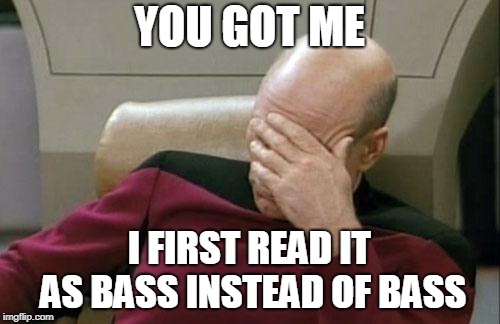 Captain Picard Facepalm Meme | YOU GOT ME I FIRST READ IT AS BASS INSTEAD OF BASS | image tagged in memes,captain picard facepalm | made w/ Imgflip meme maker