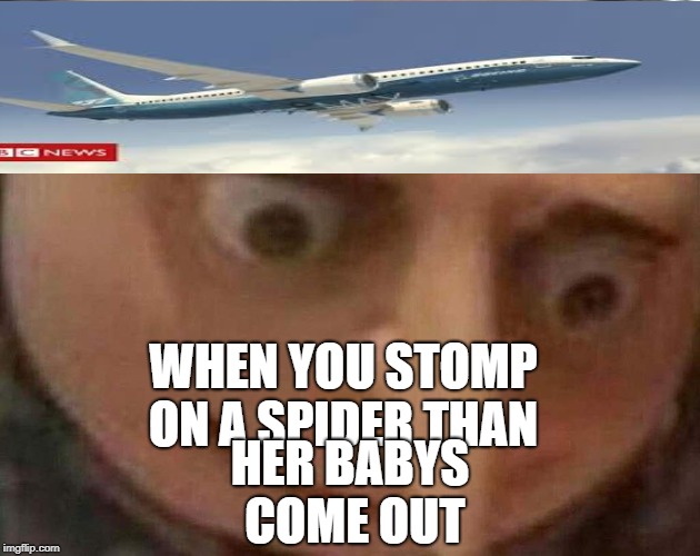 gru meme | HER BABYS COME OUT; WHEN YOU STOMP ON A SPIDER THAN | image tagged in gru meme | made w/ Imgflip meme maker