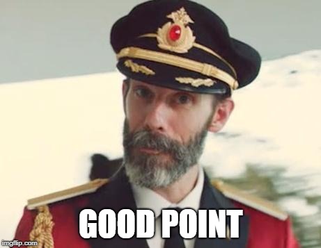 Captain Obvious | GOOD POINT | image tagged in captain obvious | made w/ Imgflip meme maker