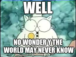 tootsie pop owl | WELL NO WONDER Y THE WORLD MAY NEVER KNOW | image tagged in tootsie pop owl | made w/ Imgflip meme maker