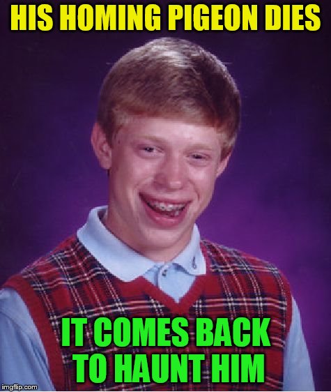 Bird Weekend February 1-3, a moemeobro, Claybourne, and 1forpeace Event | HIS HOMING PIGEON DIES; IT COMES BACK TO HAUNT HIM | image tagged in memes,bad luck brian,bird weekend,bird,birds,pigeon | made w/ Imgflip meme maker